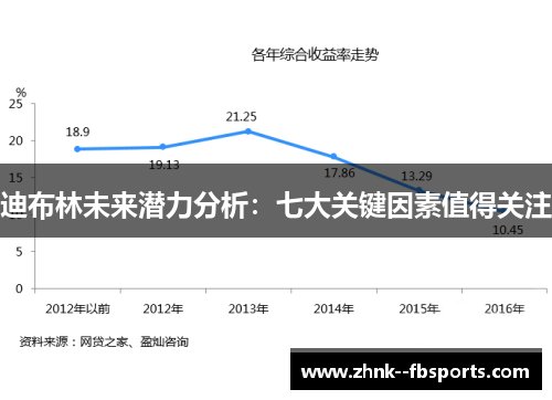 迪布林未来潜力分析：七大关键因素值得关注